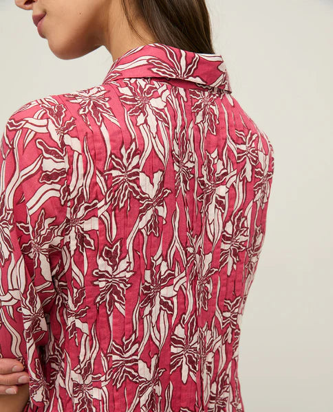 ROBE HALLY