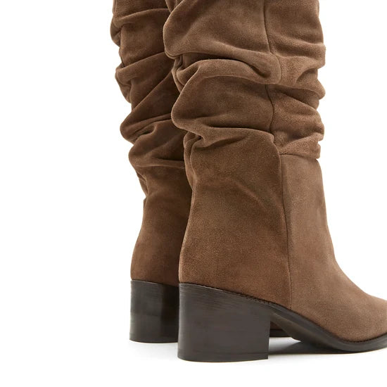 BOTTE HARRIET