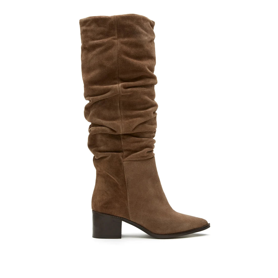 BOTTE HARRIET