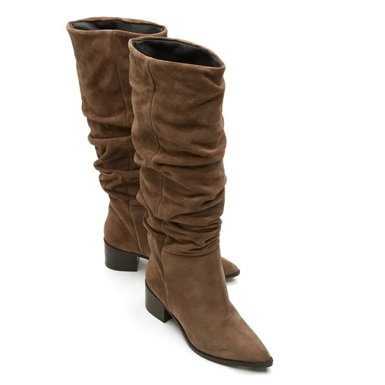 BOTTE HARRIET